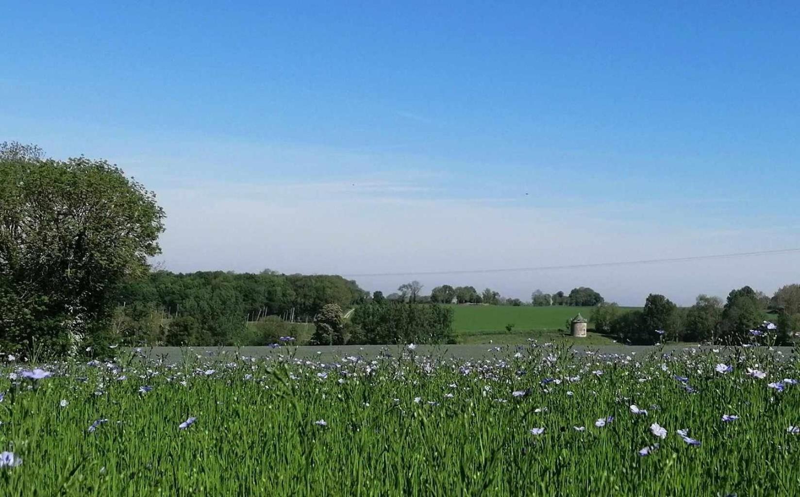 Willa La Vieille Ferme Donnay Zewnętrze zdjęcie